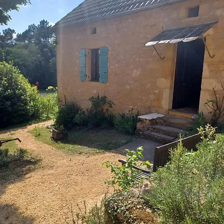 Gîtes Le clos de Veyrignac Extérieur photo